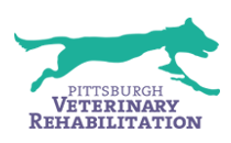 Pittsburgh Veterinary Rehabilitation